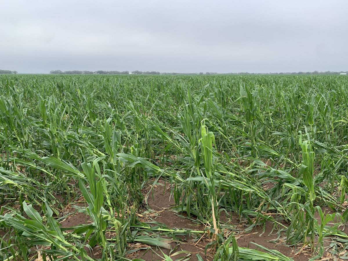 More storms. More damage.