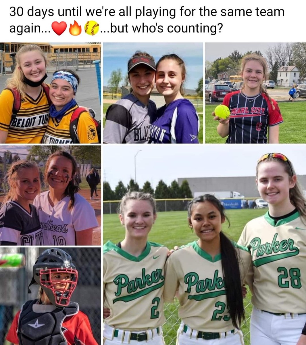 THSoftball tweet media
