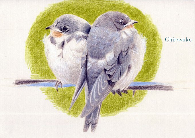 「愛鳥の日」 illustration images(Latest))