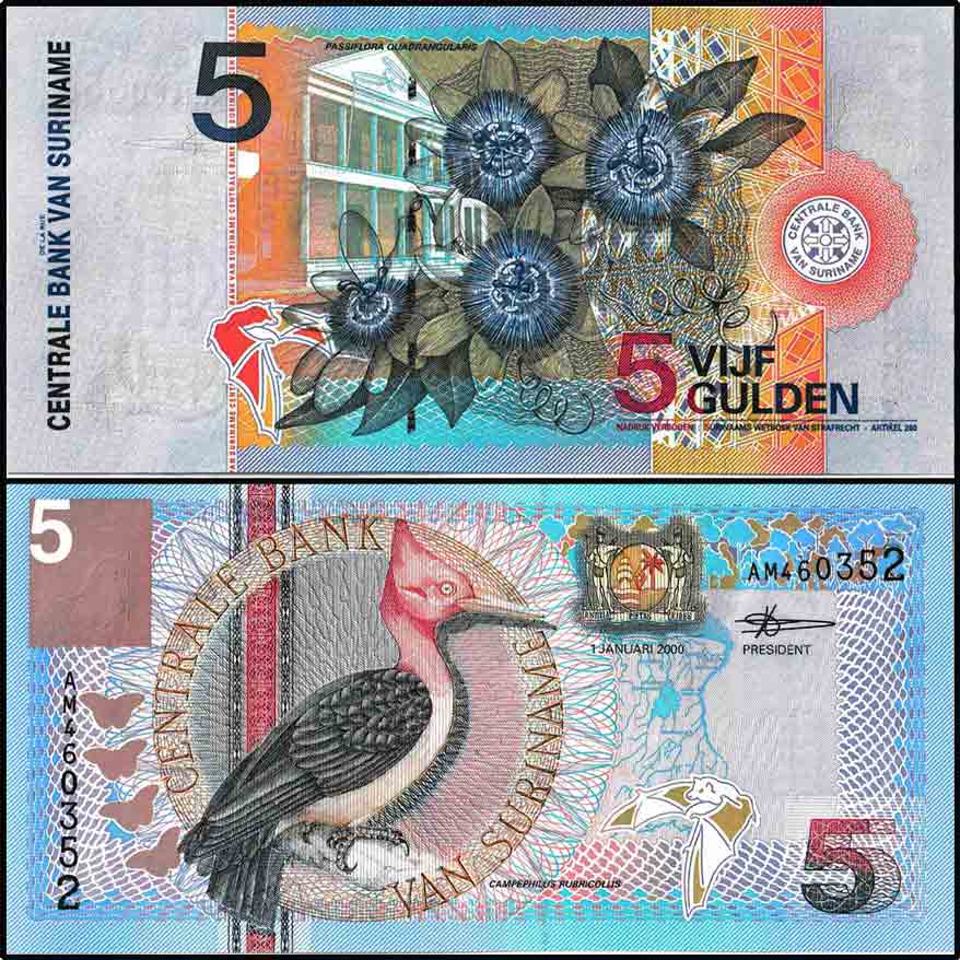 Buy this Suriname 5 Gulden Banknote, 2000, P-146a, UNC :bit.ly/33Inhxz
Website : thenumisworld.com
#Numisworld 
#Worldbanknotes
 #Banknotecollectors 
#banknotestore  
#Banknotes
 #Banknotesforsale