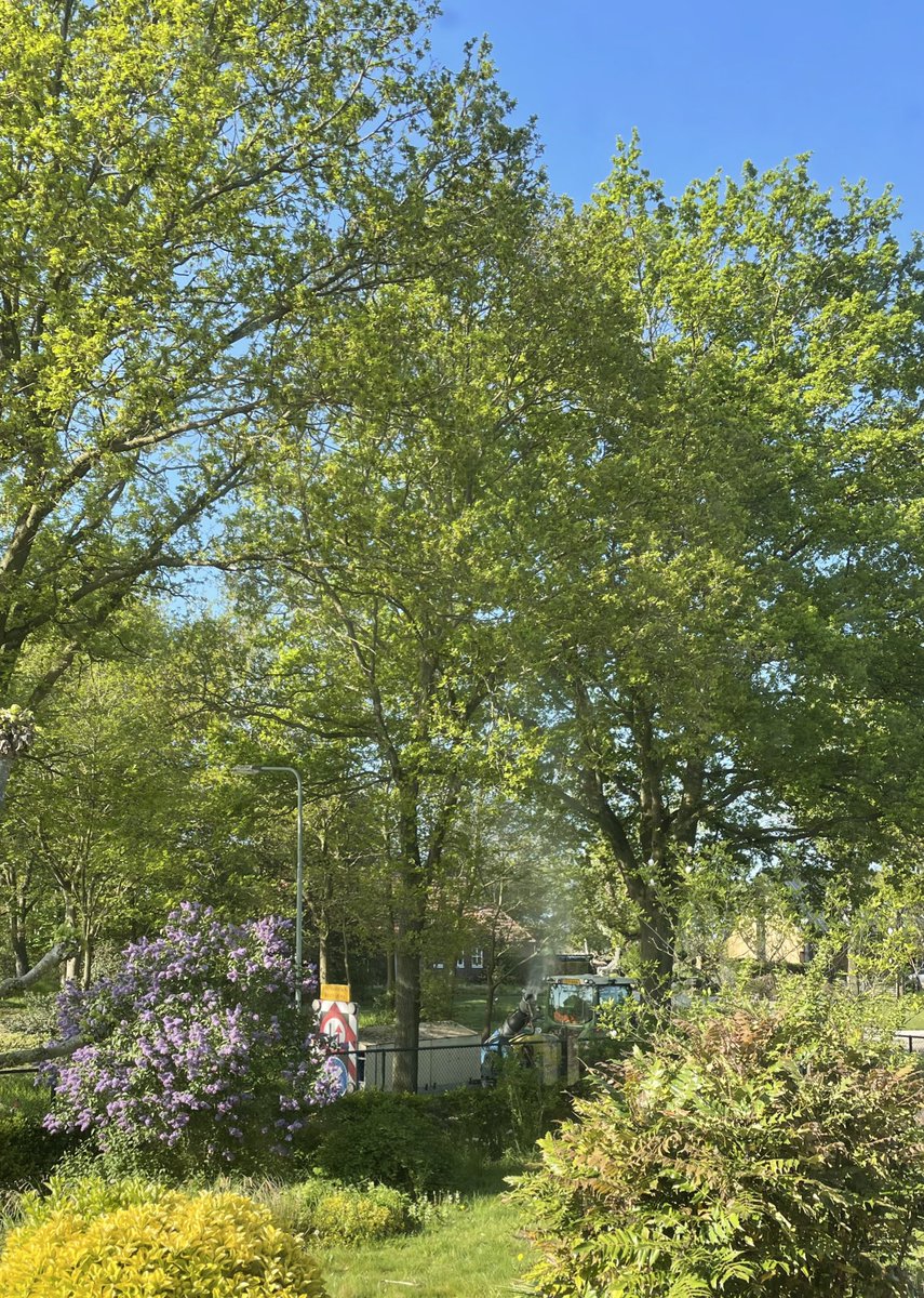 Het is weer zo ver; de bewoonde nestkastjes worden bespoten, hoezee!