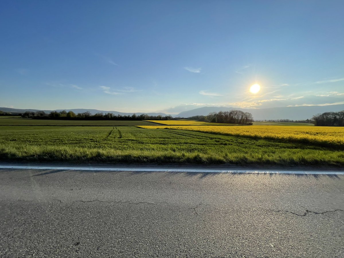 KevinGoujon's tweet image. 🤩