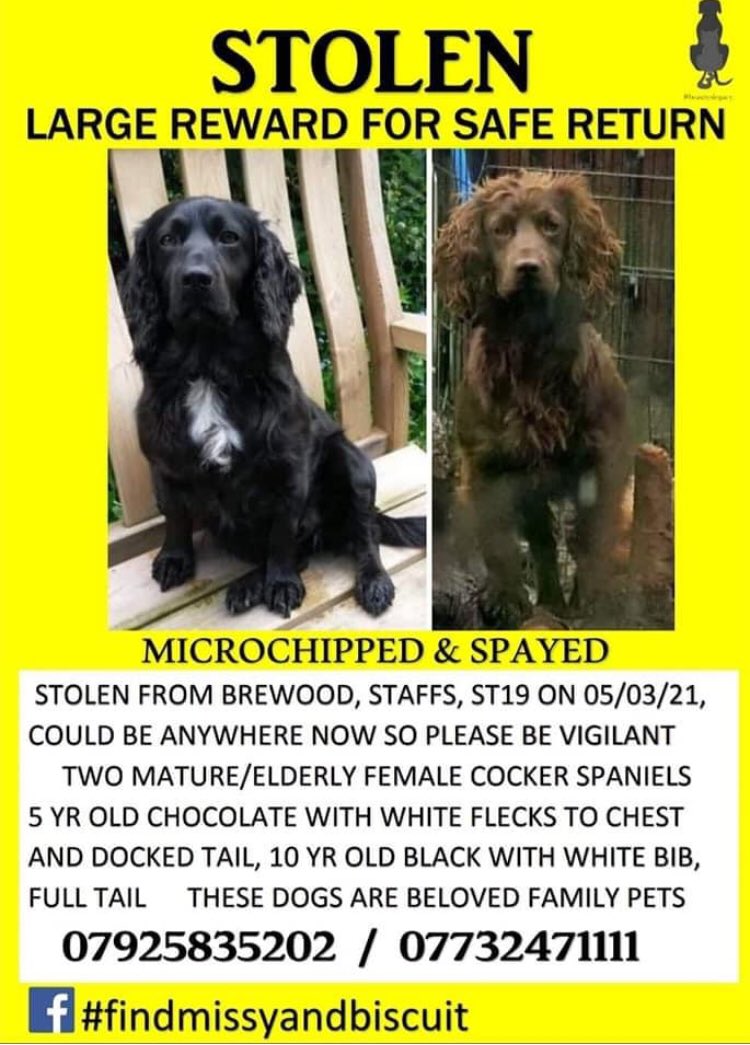 The identity of these men is sought in connection with the theft of spaniels Missy and Biscuit in March. Can you help their owner identify them? #findmissyandbiscuit