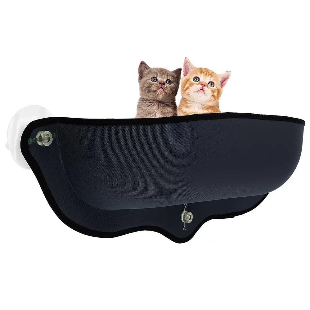 BeyondCatStore1's tweet photo. Let your cat enjoy the view! Cats love this hammock to lounge in! 

https://t.co/kEWFzAr8Mt

#beyondcatstore #cathammock #hammock #birdwatching #cat #kitten #catbed #catsupplies https://t.co/CM2KamxAVS