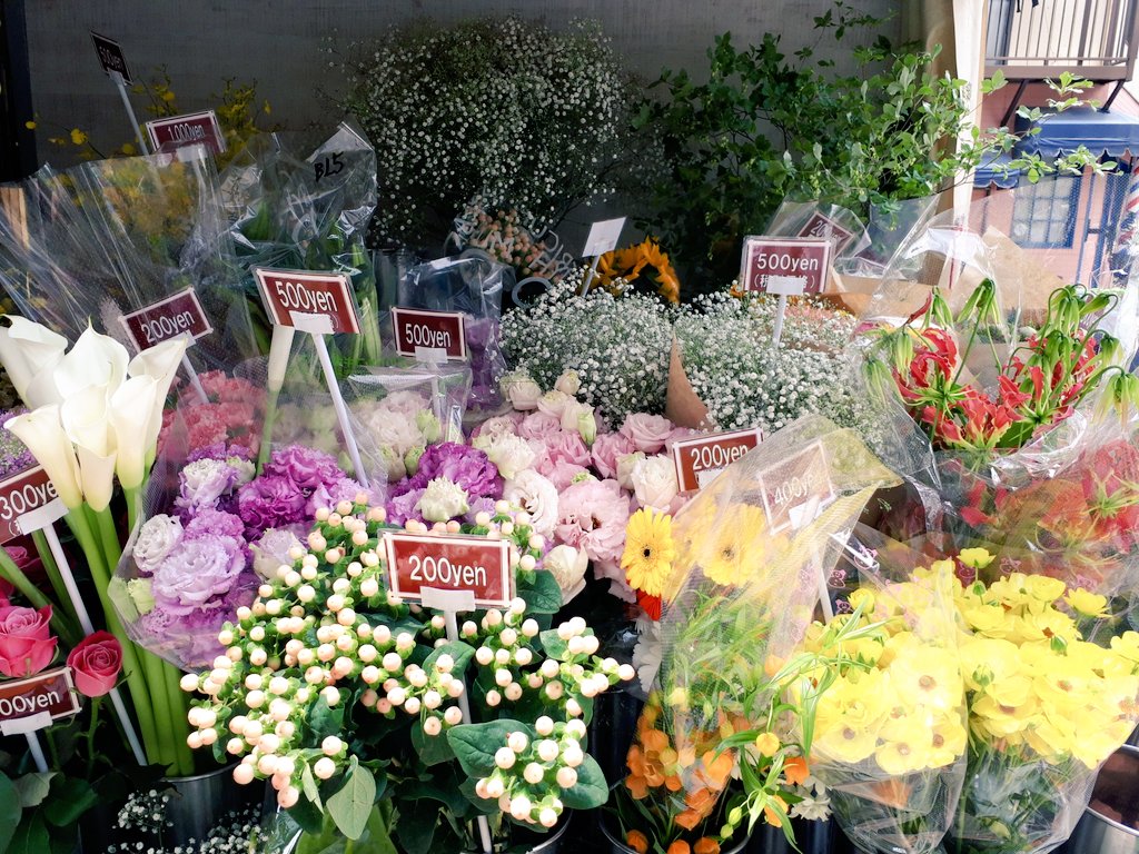 Co Sodate 中央区 江東区からママがお届け 鉄砲洲にフラワーカーが来てます 毎週 水 だいたい11 00 14 00に鉄砲洲公園の斜め前で販売 雨天休止 今朝摘み立てのお花など どれも綺麗 インスタ T Co Nuemtqbsua Shino 花屋 花 八丁堀
