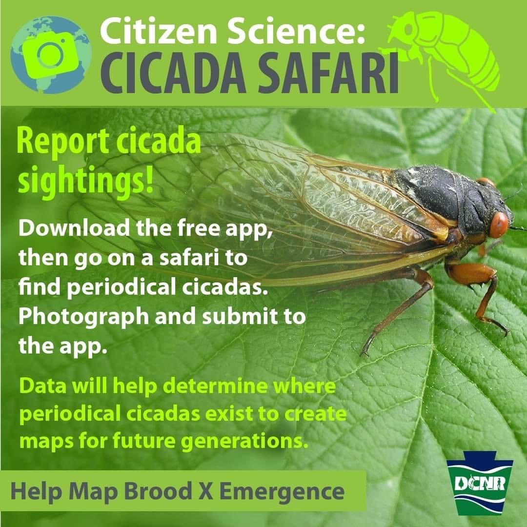 Discovery Station tweet media