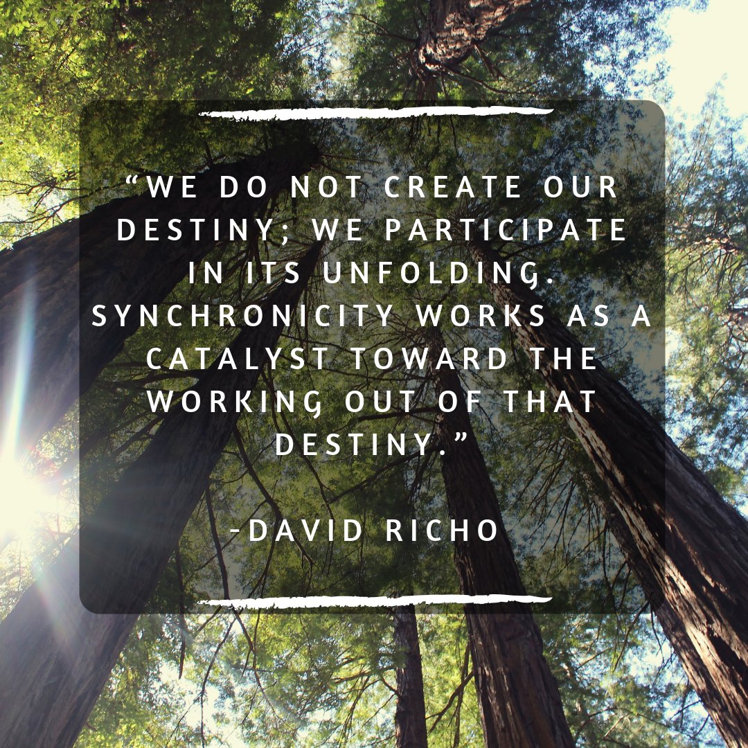 IncorporateYoga's tweet photo. Contact us for information on our 52 weeks of online yoga program. https://t.co/RmsCswfboV