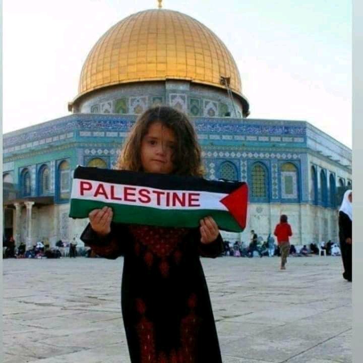 AgoudjilFaiza's tweet photo. Save Palestine 
#GazaUnderAttack 
#GazaUnderAttack https://t.co/ev6bxek0Sg