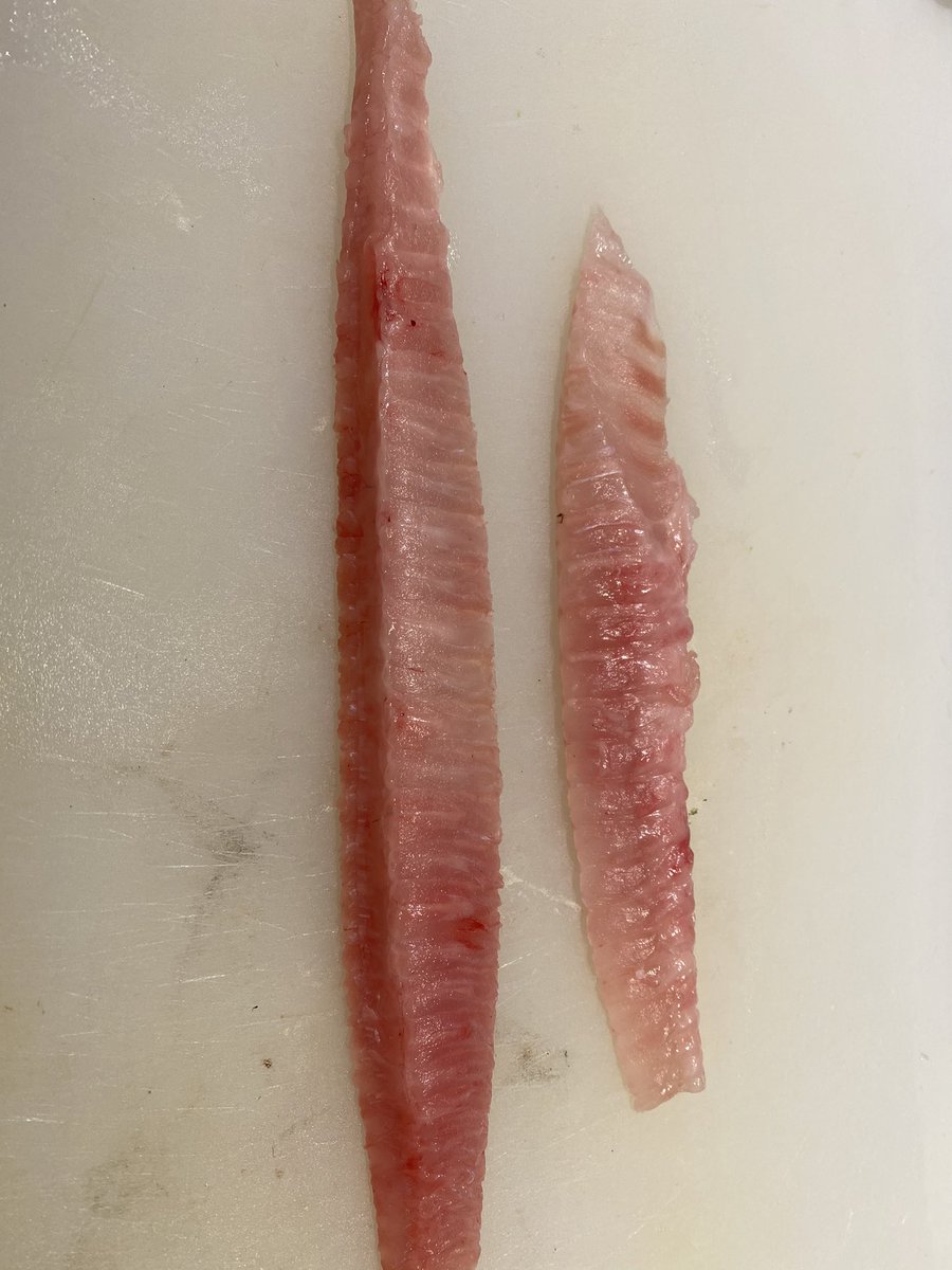 平目のエンガワ