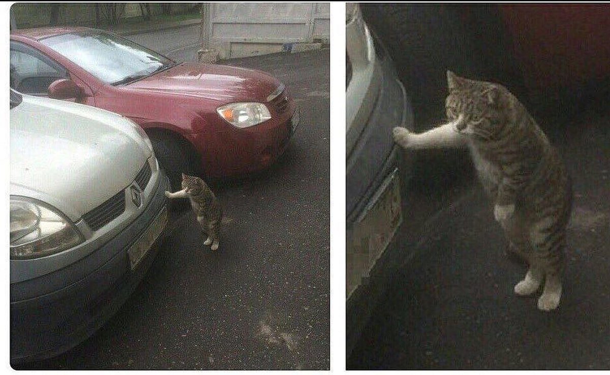 Настроения нет, но таки с Утром!