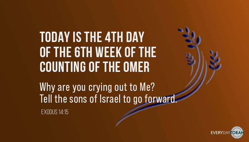 EverydayTorah's tweet photo. Today is the 4th day of the 6th week of the counting of the Omer.

Why are you crying out to Me? Tell the sons of Israel to go forward (Ex. 14:15).
.
.
.
.
#EverydayTorah #Exodus #Omer #Israel #CryingOut #Sons #Tell #Counting #GoForward #Weeks #tk https://t.co/ZzrfJTcUZr