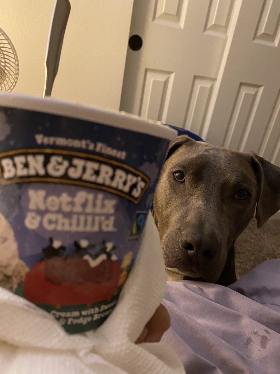 DollyEngland's tweet photo. #princerodger being a beggar #dog. No way am I sharing! #benandjerry #netflixandchillld https://t.co/7KWUvQpfad