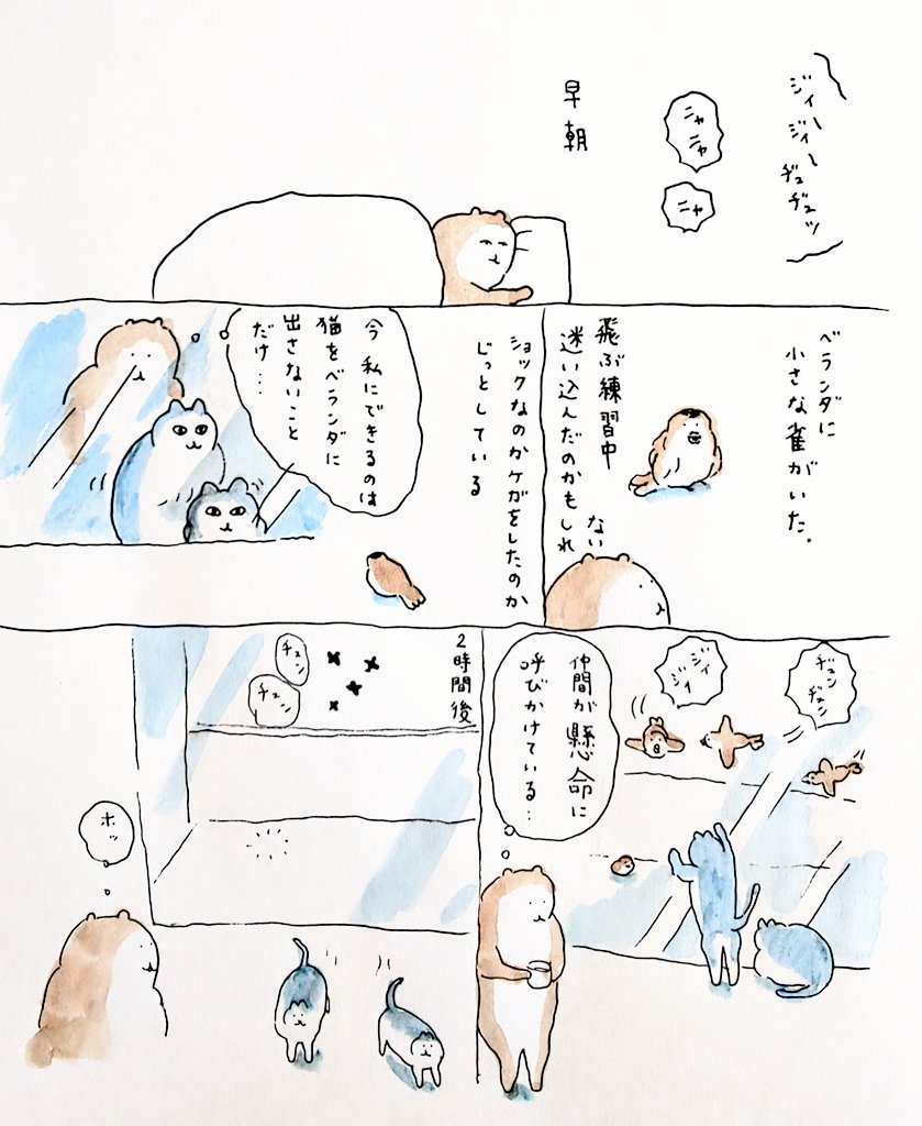 雀
#bubuchiyo絵日記 