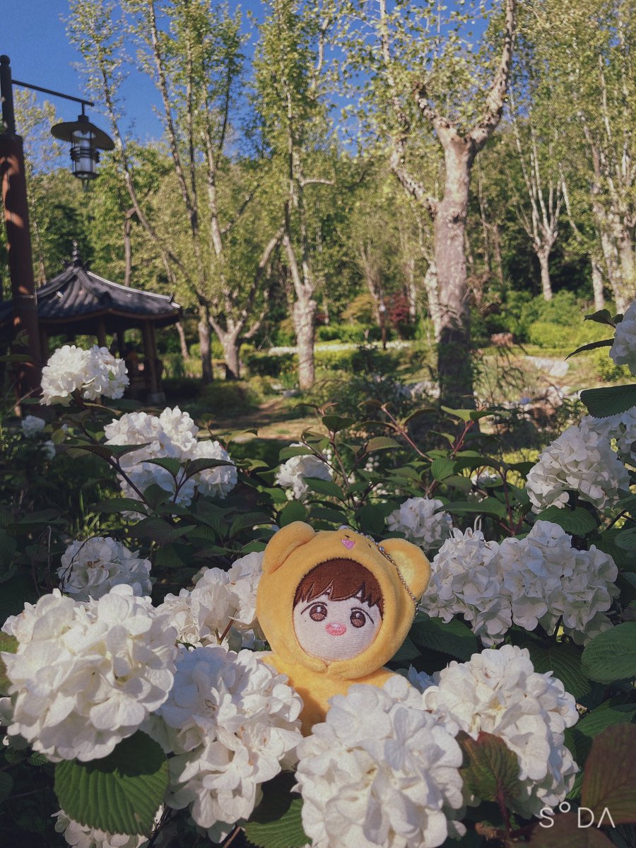 날씨가 너무 좋네요~ ☀️