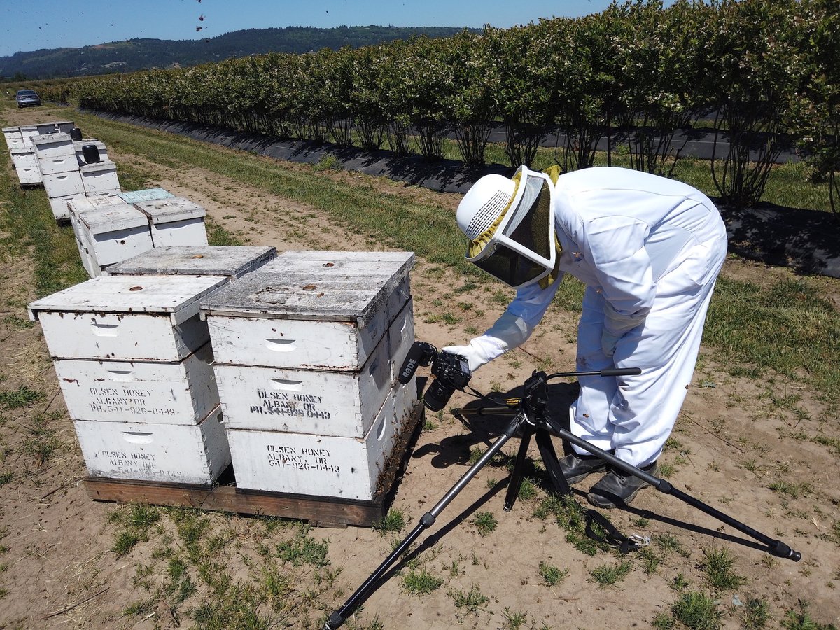 Ctic Ctic Tweet Twitter