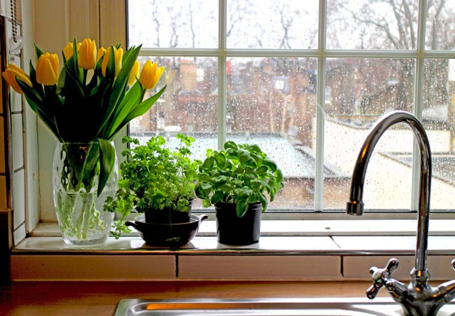 Lovegreen コバエ対策 T Co Fcwrygeglq コバエ の種類や特徴 発生場所 自宅でできる駆除方法など コバエ対策について詳しく紹介します 基本情報 コバエの害って どこからくる 好む場所は 大量発生の原因は ライフ Lovegreen コバエ対策 T Co Fcwrygeglq コバエ の種類や特徴 発生場所 自宅でできる駆除方法など コバエ対策について詳しく紹介します 基本情報 コバエの害って どこからくる 好む場所は 大量発生の原因は ライフ