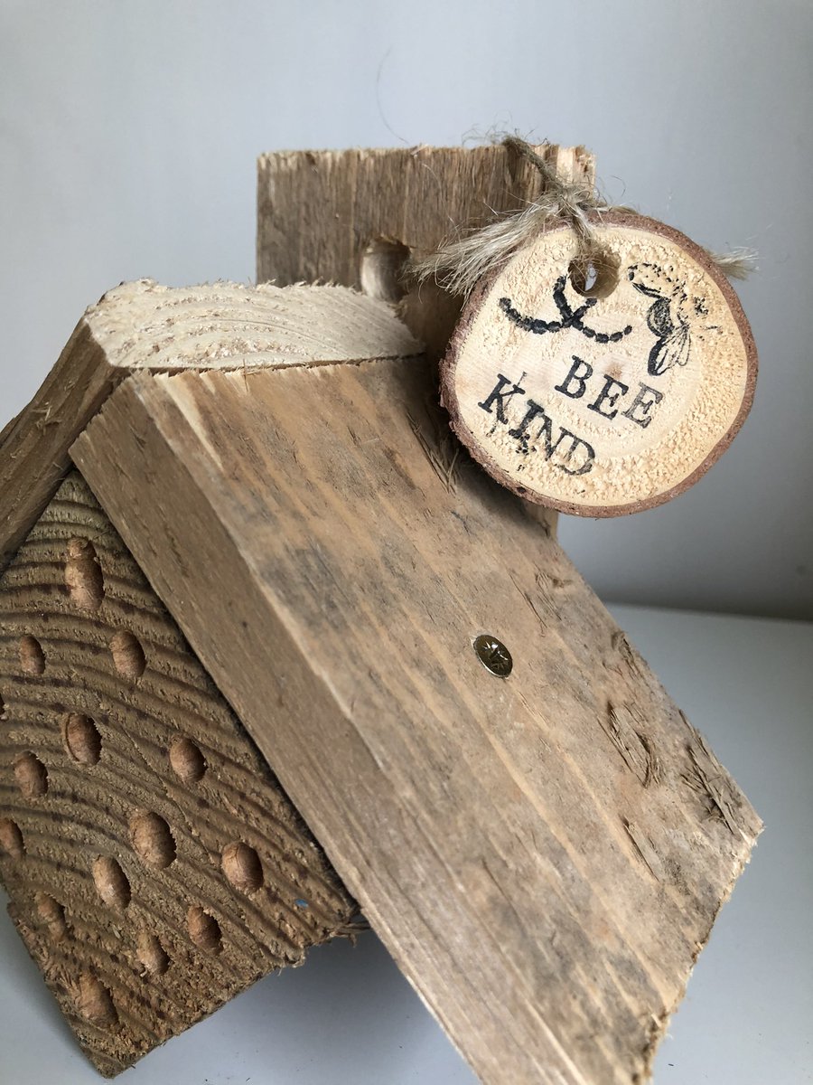 Homes for Bugs tweet media