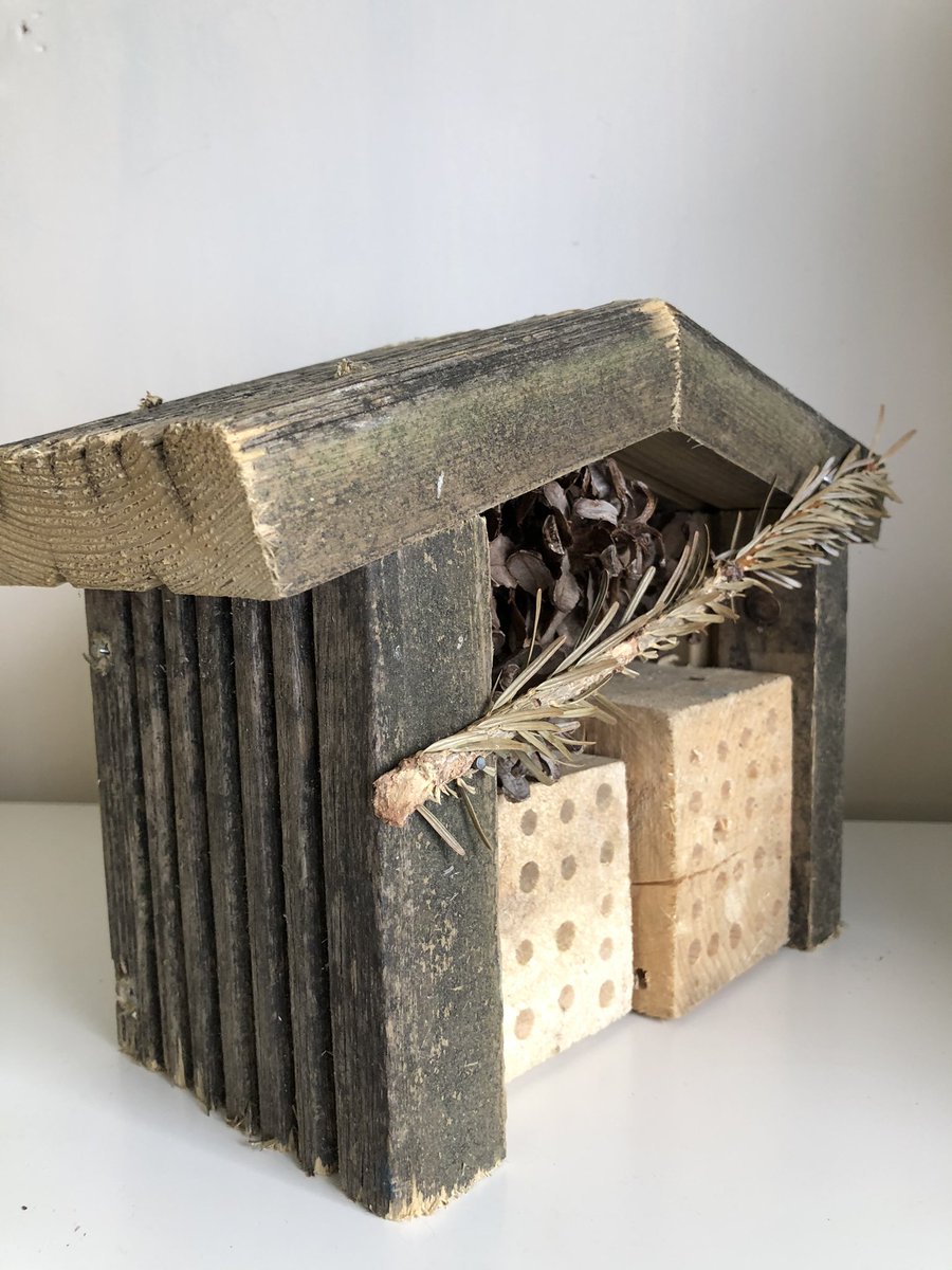 Homes for Bugs tweet media