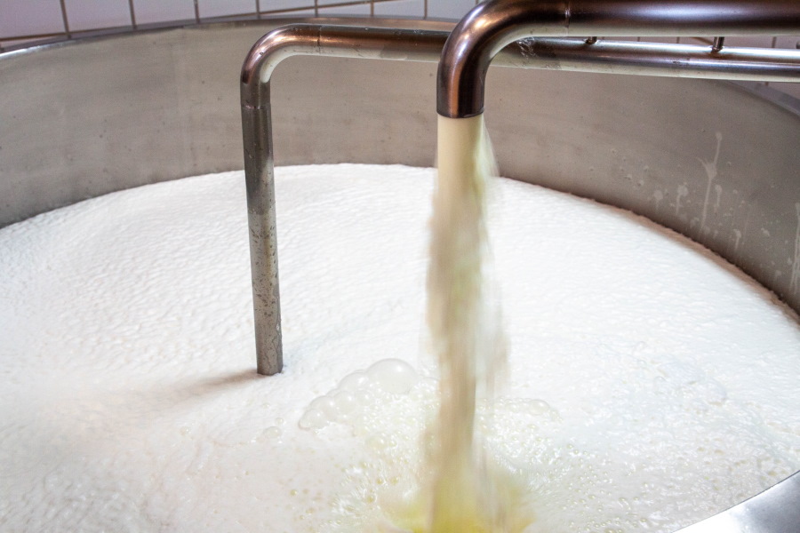 VisitCalabria tweet media