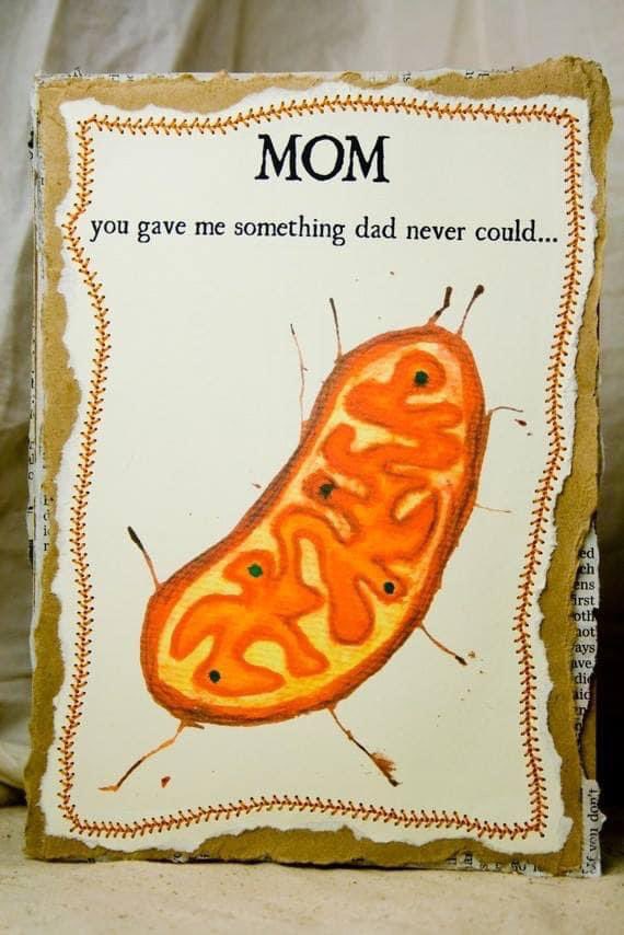 Didja know? Mitochondria are in the egg cells, so we directly inherit them and their DNA from our mothers. #happymothersday2021