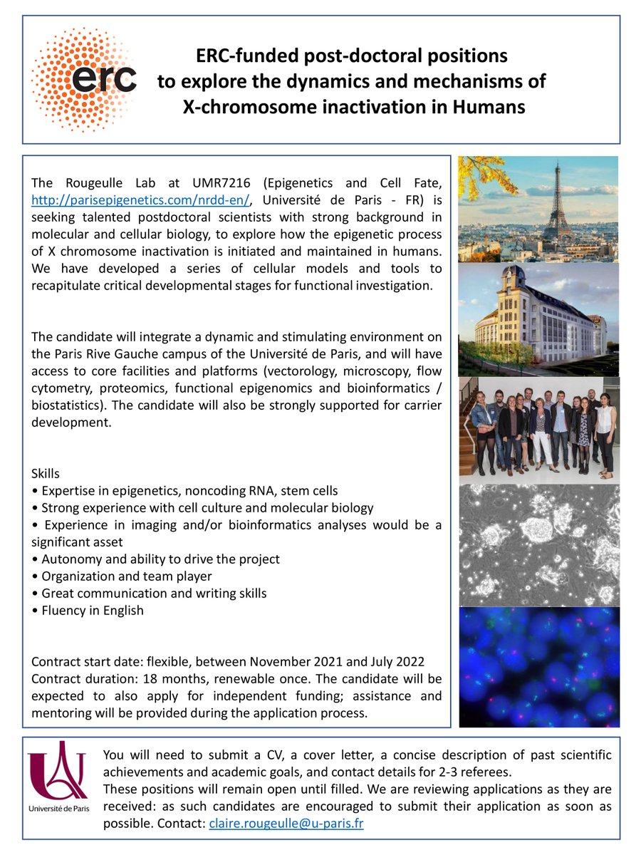 Please RT: we are looking for motivated post-docs to explore the mystery of human X-chromosome inactivation #ERCAdG #epigenetics #stemcells #ncRNAs #Paris @ERC_Research parisepigenetics.com/nrdd-en/joinus…