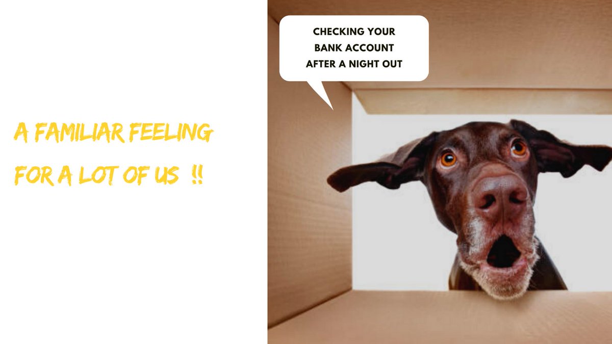 Pet Parentz tweet media