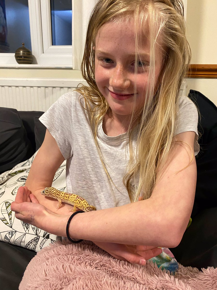 BedstoneCollege's tweet photo. It’s not just our amazing students who have embraced the extra evening activities &amp; flexi-boarding options - the school’s Gecko has also appreciated the chance to socialise again! 🦎 #flexiboarding https://t.co/t1ooRjU5fg