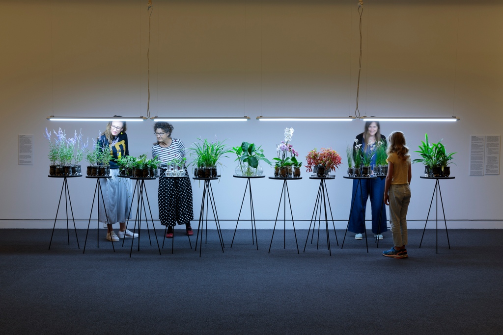 Last chance to check out The Overwintering Project: Westernport at MPRG!⁠
Must close Sunday 23 May.⁠
May, open 11am-4pm, Tuesday-Sunday. Free entry. ⁠
mprg.mornpen.vic.gov.au/EXHIBITIONS/Cu…