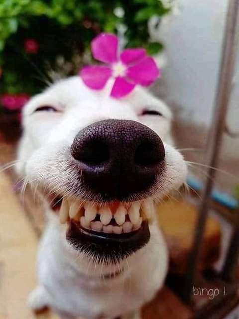 sarita_____udas's tweet photo. फाेटाेकाे क्याप्सन के राख्दा न्याय हाेला याे फाेटाेलाई?😁😋 https://t.co/tElQbprfRr