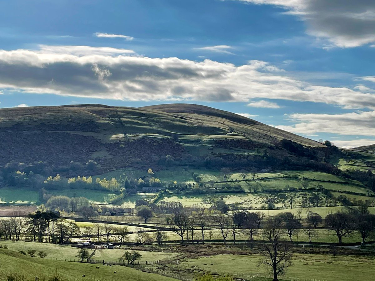 herdyshepherd1's tweet photo. The valley is greening - about two months after the south of England https://t.co/8J2e7xv2W9