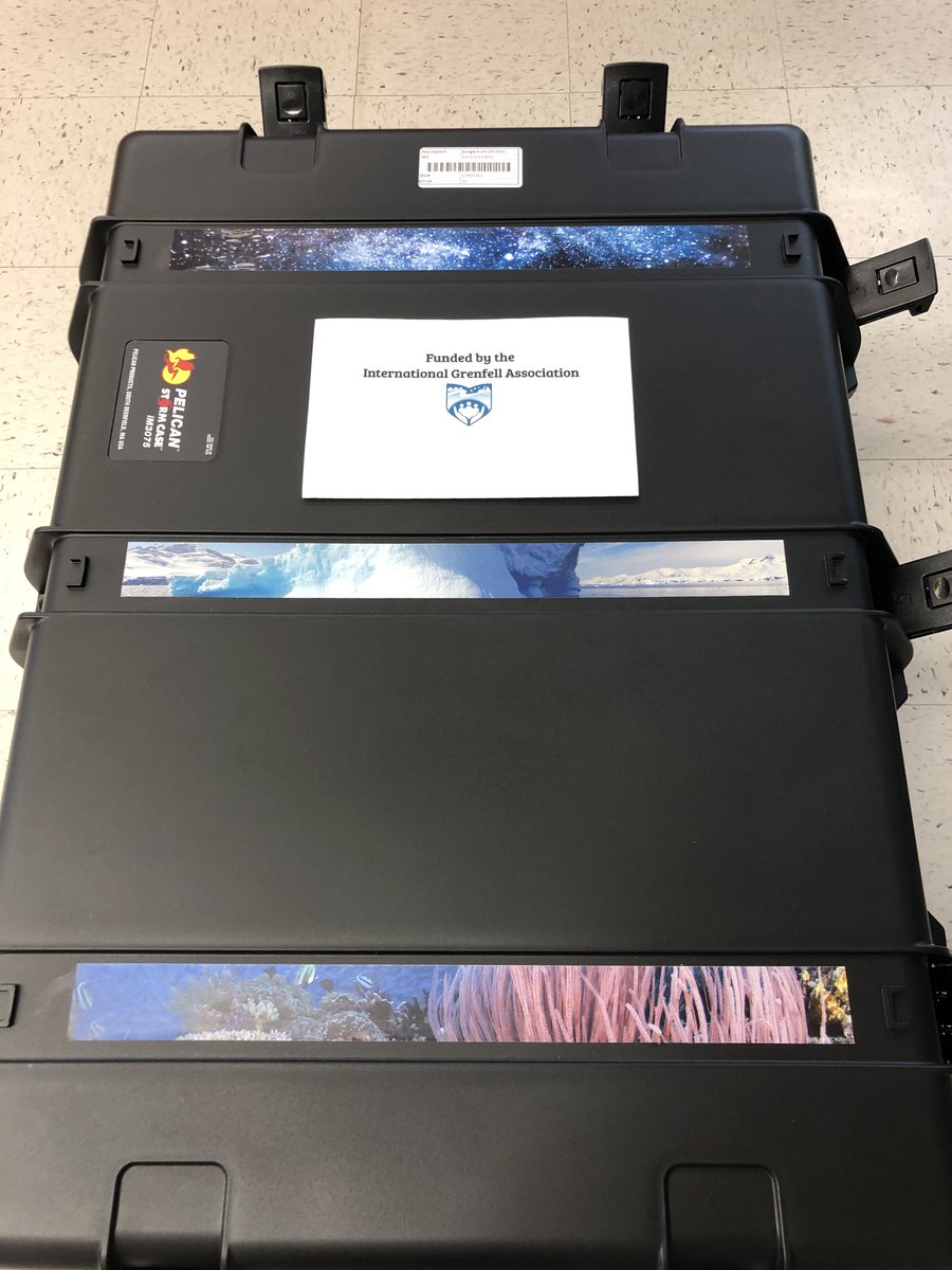 Peacock Primary School tweet media