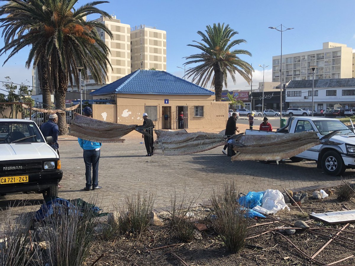 Dave March CWM tweet media