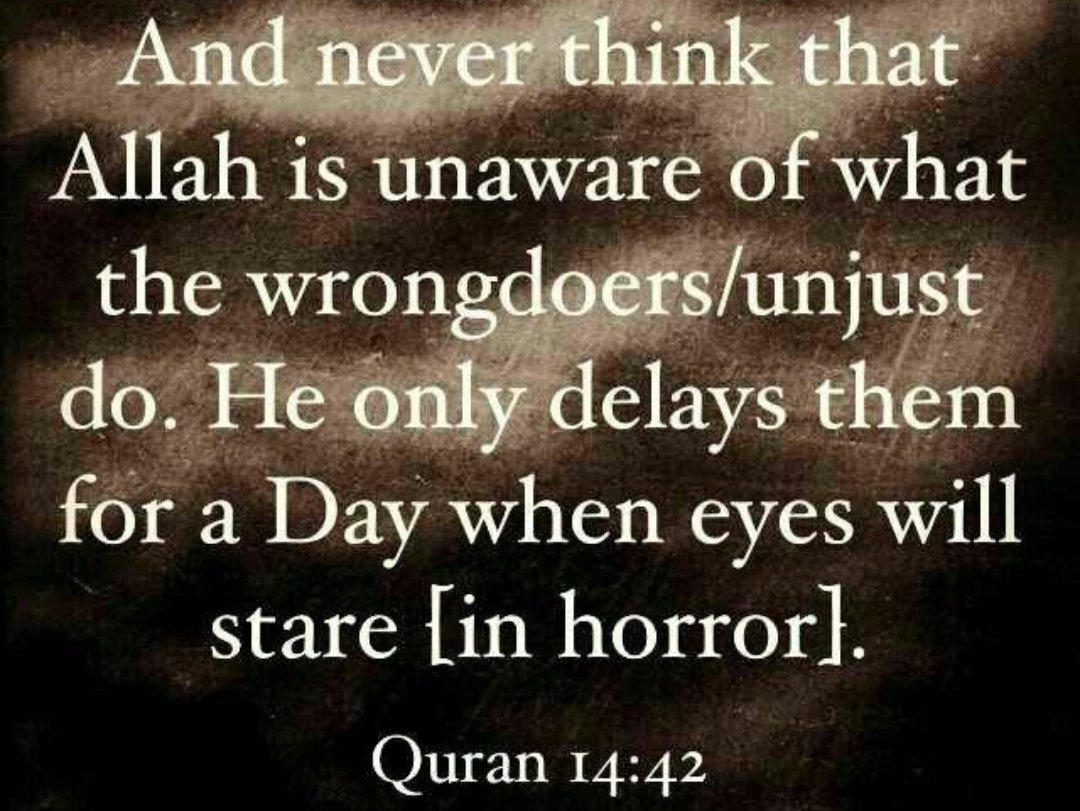 oddgems ⋈ tweet media