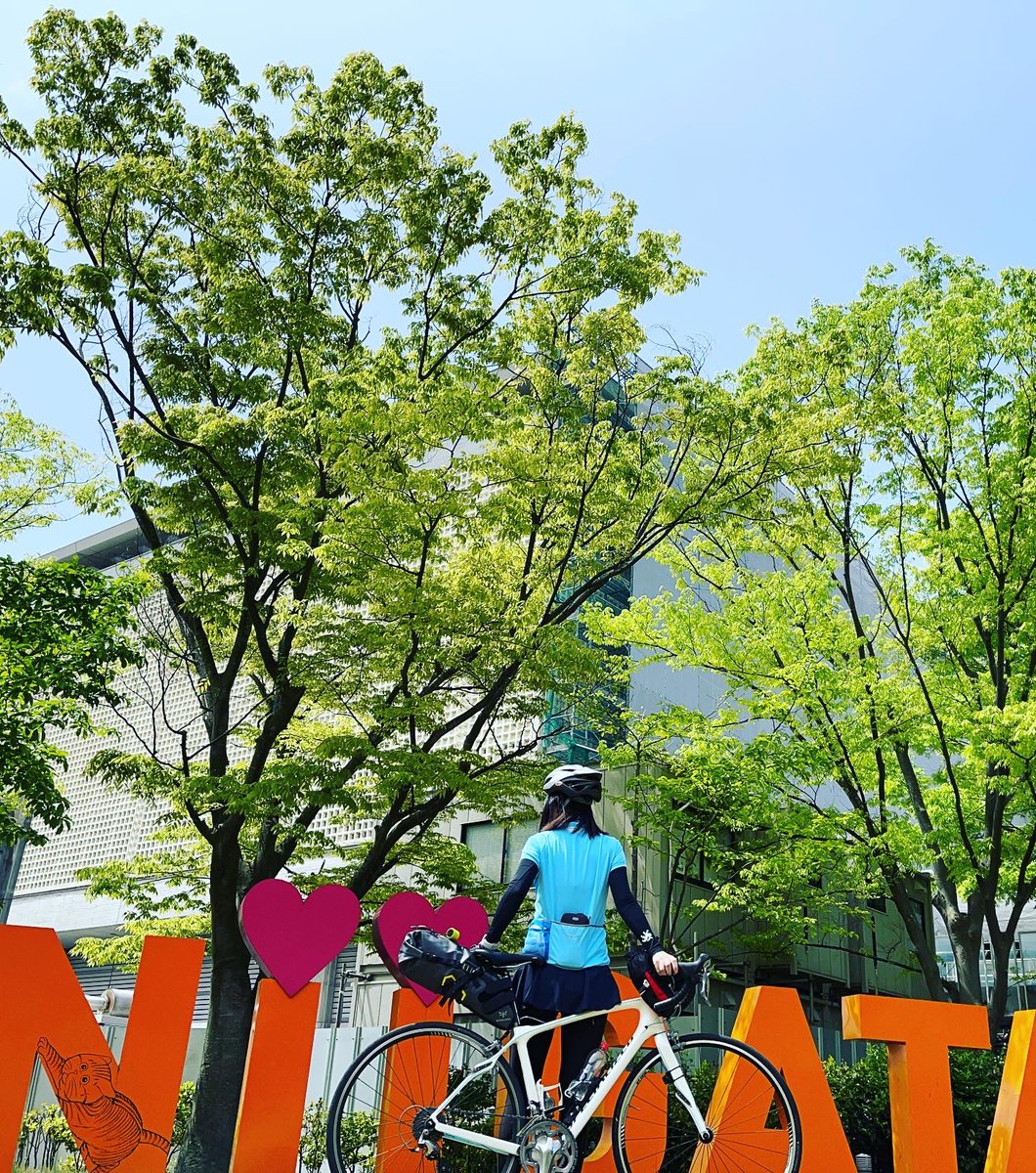 あーちゃん🐤 tweet media