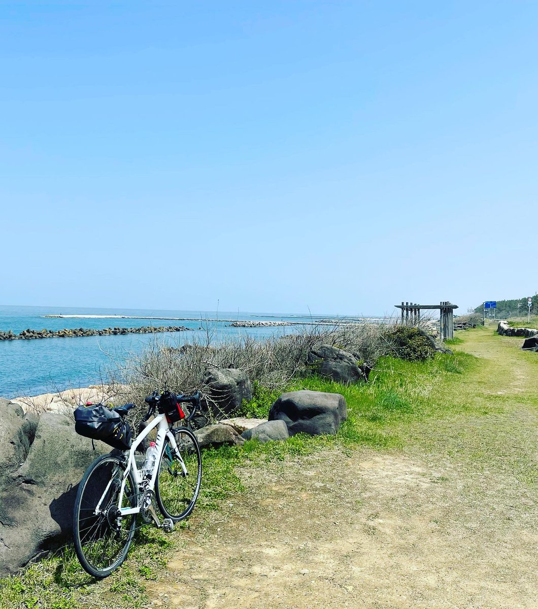 あーちゃん🐤 tweet media