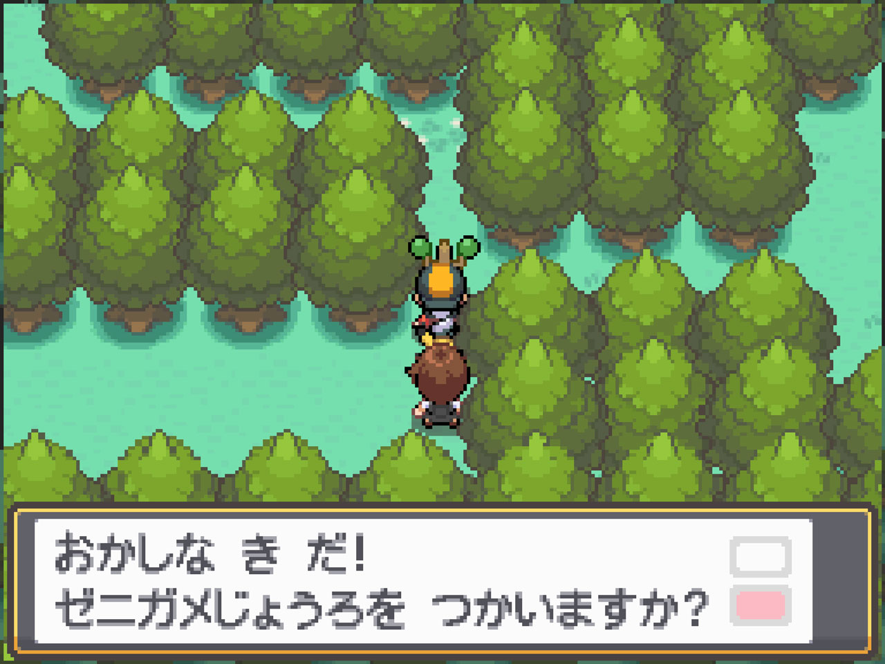 ポケモンだいすきクラブ編集部 公式 ゼニガメじょうろ はこんな感じ T Co Pvd4ey5saf Twitter