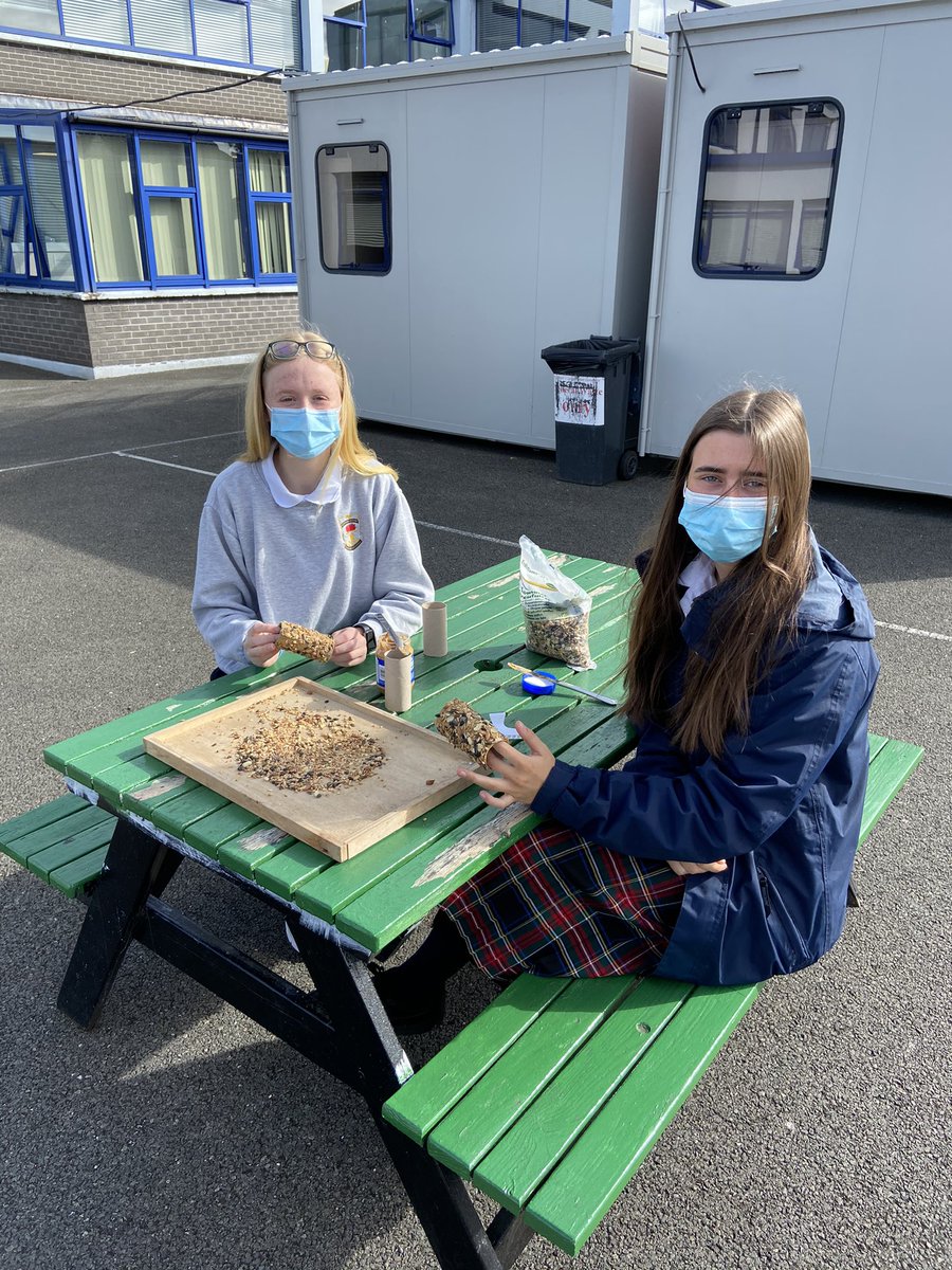 shinylynn's tweet photo. Great work by the young scientists in @StJosephs3 making beautiful bird feeders this morning #biodiversity #tyscience #peanutfingers https://t.co/JkSm6tNQbS