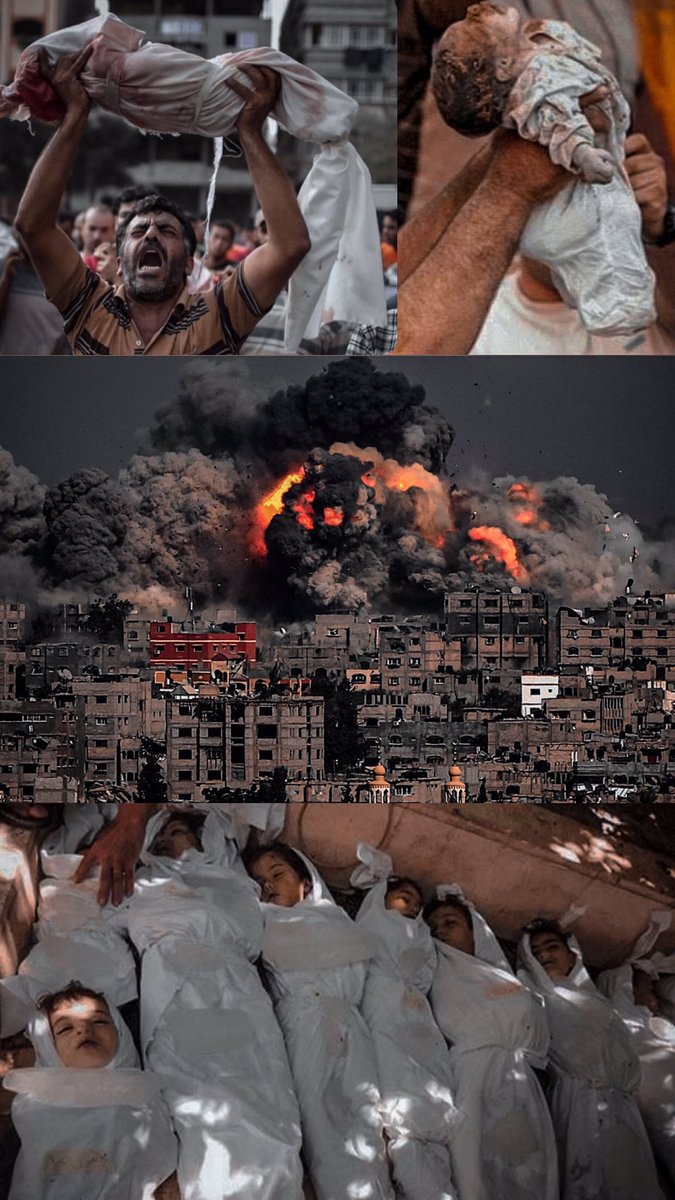 شُلّت أيدٍ بتماديها قد حفرت قبراً يحويها 

#GazaUnderAttack