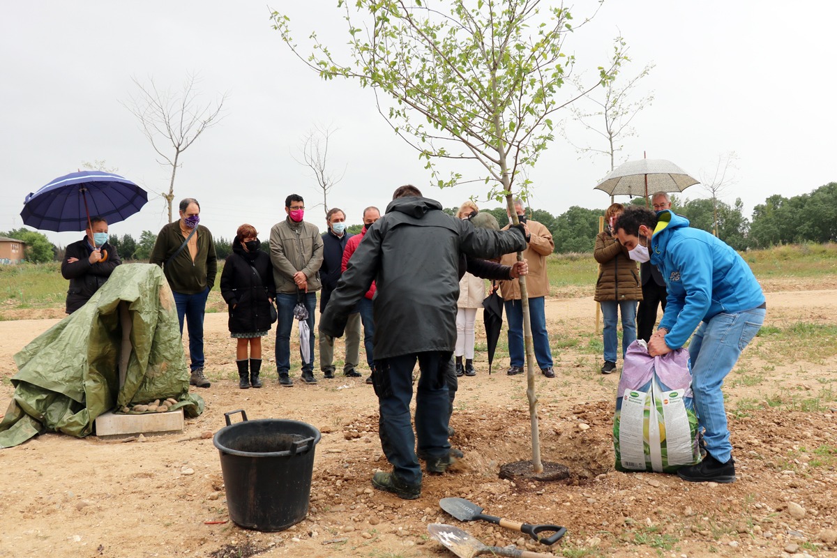 AyuntamientoVLL's tweet photo. 🌳Un nuevo moral en el Bosque de Santa Ana.

Los concejales de Medio Ambiente, @mariatuitea y @DeportesVLL, @alberbustos acompañan al integrante del @CPLValladolid @OlmoErcilla en la plantación del árbol y la colocación de una placa homenaje a su abuelo

🔗https://t.co/WiUaMl0dBX https://t.co/DgKGmbhnjZ