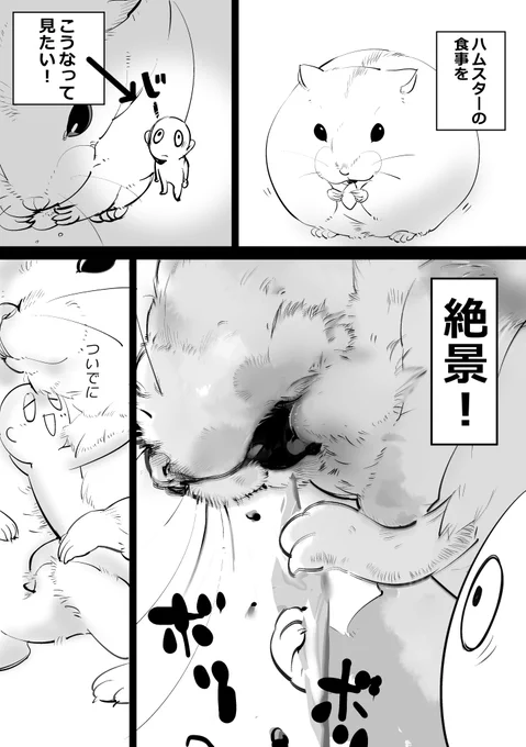 食べてるときのお口が見たい!!…という思いで描いてたけどラッコ食べすればいいじゃんね～
ばかはむ～ でもうちのハムスターはラッコしてくれないから…
#ハムスター漫画 