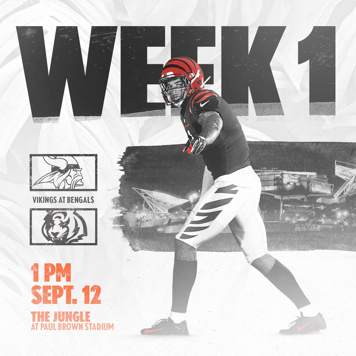 Cincinnati Bengals tweet media