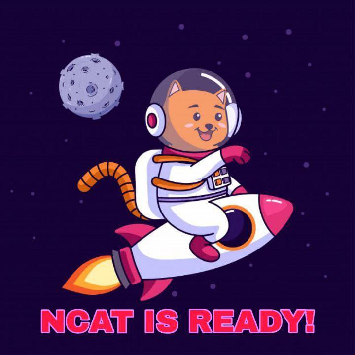 SegaOneMen's tweet photo. @ncattoken @Hotbit_Russian @Hotbit_news                               https://t.co/QHPP5BQ4KO🔥🔥🔥🔥🔥🔥🔥🔥🔥🔥🔥🔥🔥 https://t.co/sr2XMtkDbD