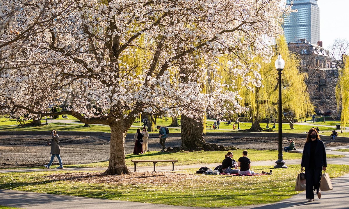 CityOfBoston's tweet photo. As of May 4, 257,511 Boston residents have been fully vaccinated. That’s 44.3% of the City’s population age 16 and older. Keep it up, Boston!

You can check our website for vaccine information, including a map and list of Boston vaccination sites: https://t.co/cbx8MspDAn https://t.co/AIBTNkEcJE
