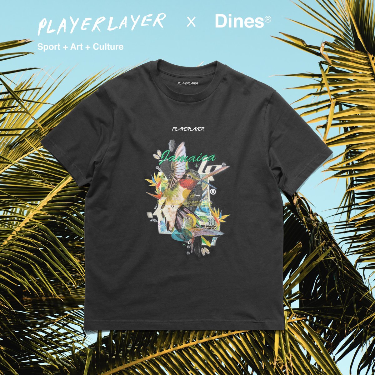 PlayerLayer tweet media