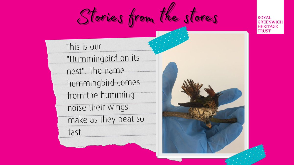 GreenwichHT's tweet photo. Happy Wednesday! 🌟We are launching a series of posts called "Stories from the Stores". Every Wednesday, you will get the opportunity to discover a selection of our fascinating #objects and #archives! #storiesfromthestores https://t.co/msD4GfMX2z