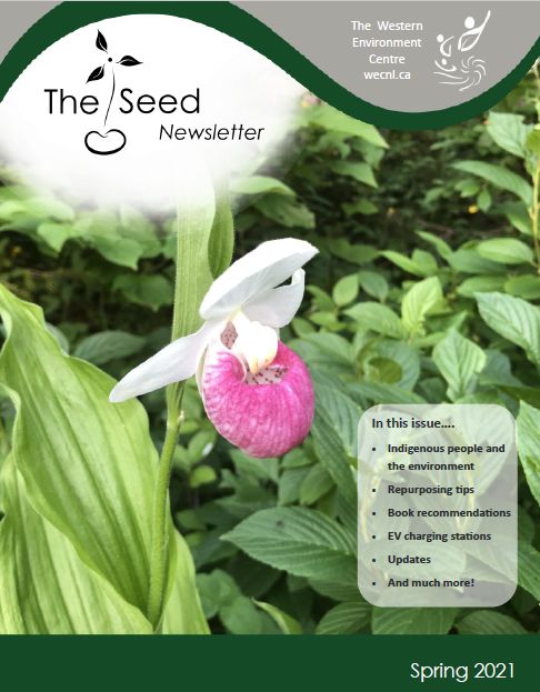 WECNL's tweet photo. Want to read our May update? Check it out here! https://t.co/yI0VJPg8kJ 

We have it all - composting, wild edibles, greenhouses, economic recovery, new newsletter and much more! https://t.co/pxxQOkkCC2