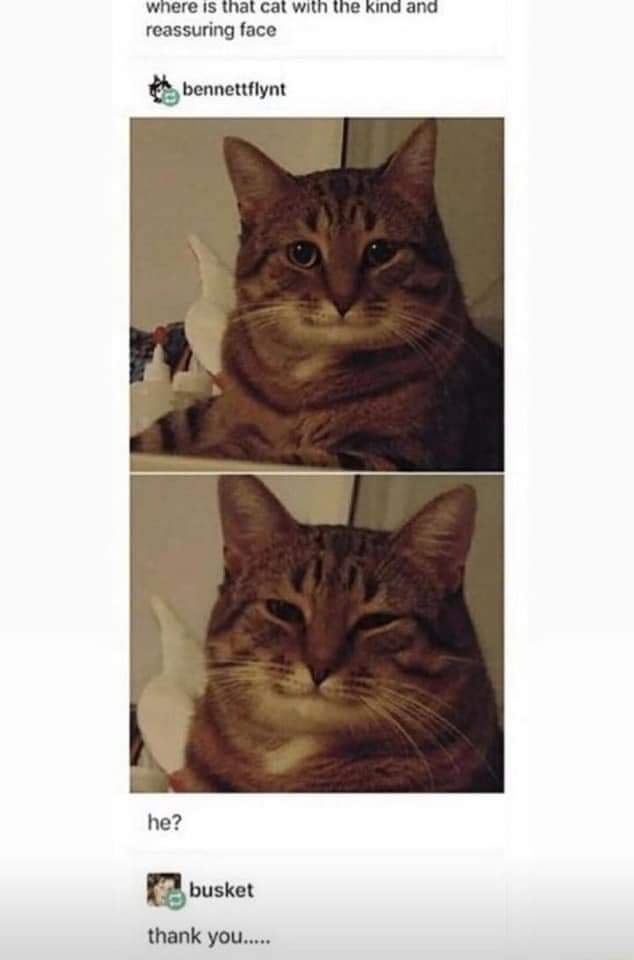 xx_teya's tweet photo. #philzafanart #philzaminecraft #mcyt #mcytfanart #memes #cat #catza https://t.co/InBDxAs8Df