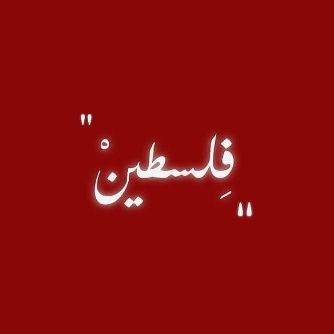 Alaa03973409's tweet photo. #GazaUnderAttackk
#GazaUnderAttack
#freepalestine https://t.co/vi4dK68LNb