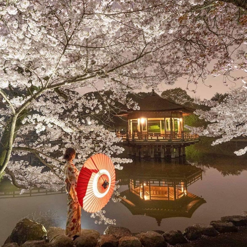 Oh Japan, we miss you!!

You can read more about our story and order online from kokorogin.com.