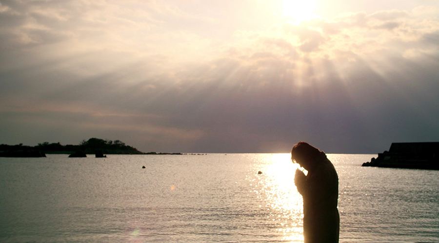 藤野みさき Misaki Fujino Cherrytree813 Twitter